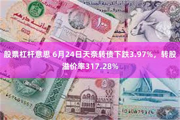 股票杠杆意思 6月24日天奈转债下跌3.97%，转股溢价率317.28%