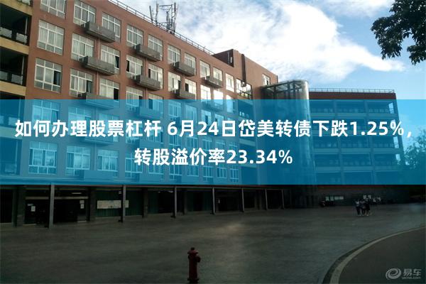 如何办理股票杠杆 6月24日岱美转债下跌1.25%，转股溢价率23.34%