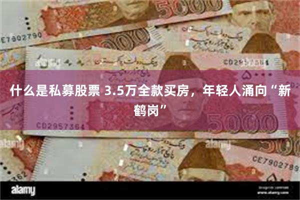 什么是私募股票 3.5万全款买房，年轻人涌向“新鹤岗”