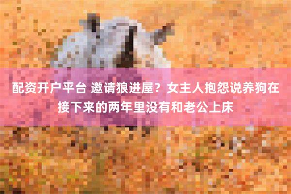 配资开户平台 邀请狼进屋？女主人抱怨说养狗在接下来的两年里没有和老公上床