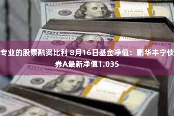 专业的股票融资比利 8月16日基金净值：鹏华丰宁债券A最新净值1.035