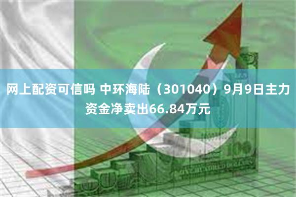 网上配资可信吗 中环海陆（301040）9月9日主力资金净卖出66.84万元