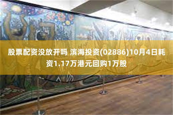 股票配资没放开吗 滨海投资(02886)10月4日耗资1.17万港元回购1万股