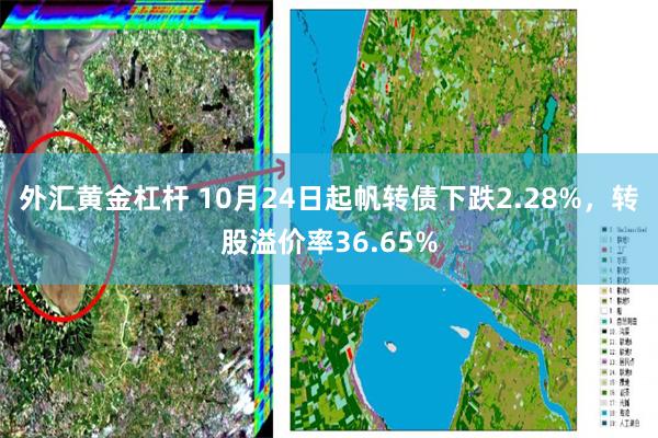 外汇黄金杠杆 10月24日起帆转债下跌2.28%，转股溢价率36.65%