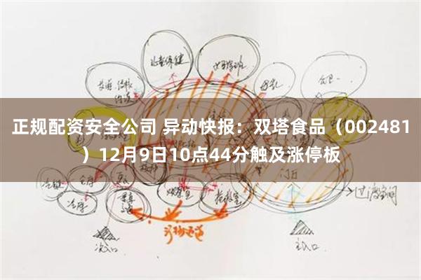 正规配资安全公司 异动快报：双塔食品（002481）12月9日10点44分触及涨停板