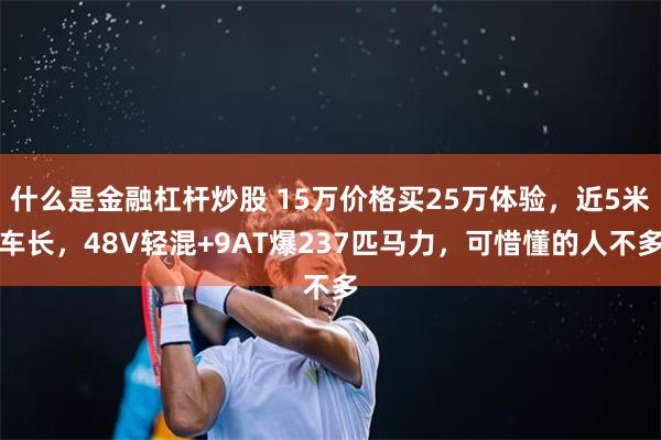 什么是金融杠杆炒股 15万价格买25万体验，近5米车长，48V轻混+9AT爆237匹马力，可惜懂的人不多