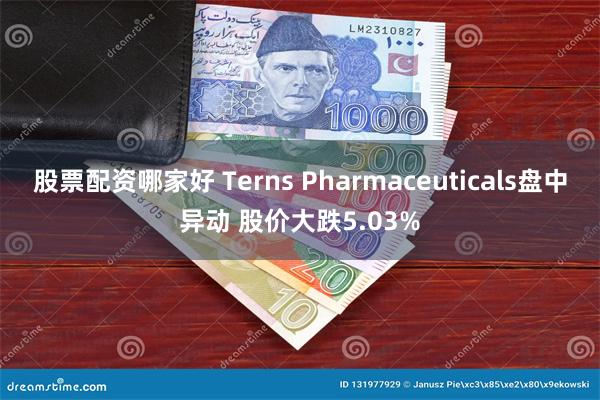 股票配资哪家好 Terns Pharmaceuticals盘中异动 股价大跌5.03%