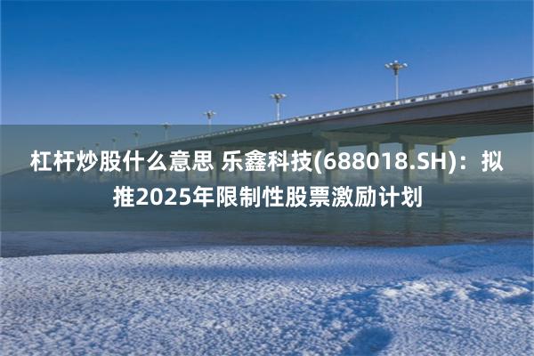 杠杆炒股什么意思 乐鑫科技(688018.SH)：拟推2025年限制性股票激励计划